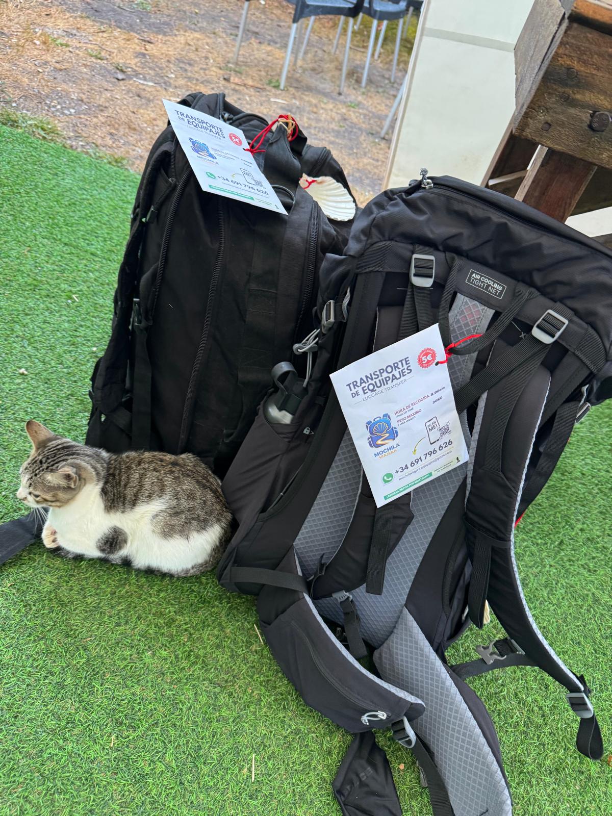 Mochilas con sus tarjetas de traslado visibles